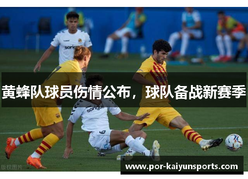 黄蜂队球员伤情公布，球队备战新赛季