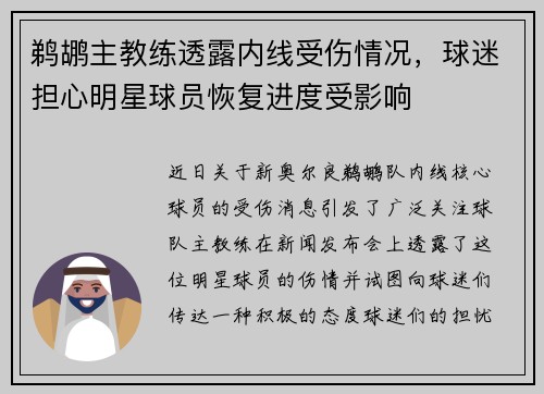 鹈鹕主教练透露内线受伤情况，球迷担心明星球员恢复进度受影响